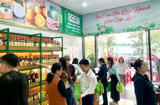 OCOP Nghệ An tìm đường chinh phục thị trường quốc tế - Ảnh 3