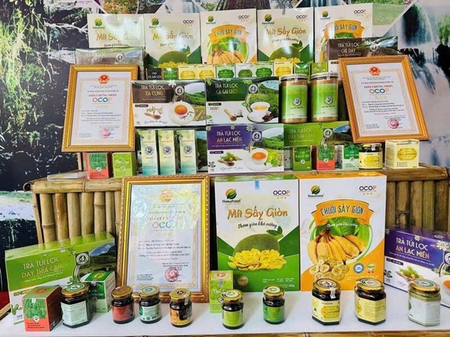 OCOP Nghệ An tìm đường chinh phục thị trường quốc tế - Ảnh 1