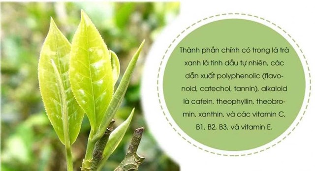 T&#225;c dụng của tannin trong tr&#224; v&#224; những lợi &#237;ch cho sức khỏe - Ảnh 1