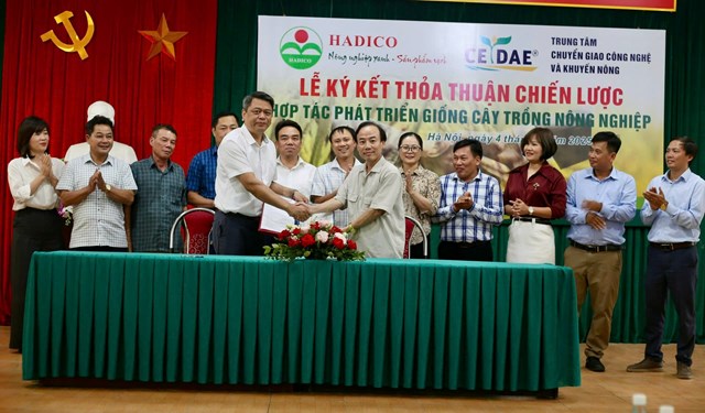 Ứng dụng khoa học kỹ thuật trong đầu tư giống c&#226;y trồng, vật nu&#244;i tại Hadico - Ảnh 2