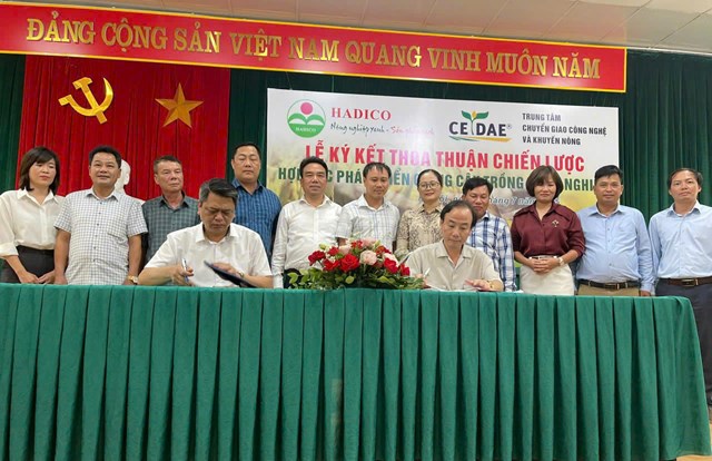 Ứng dụng khoa học kỹ thuật trong đầu tư giống c&#226;y trồng, vật nu&#244;i tại Hadico - Ảnh 1