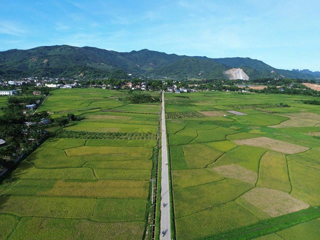 Hình ảnh cánh đồng xanh mát ở xã Xuân Mai - Hà Nội