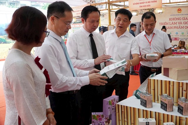 Các đại biểu tham quan gian hàng tại hội chợ. Ảnh: TTXTTMNN